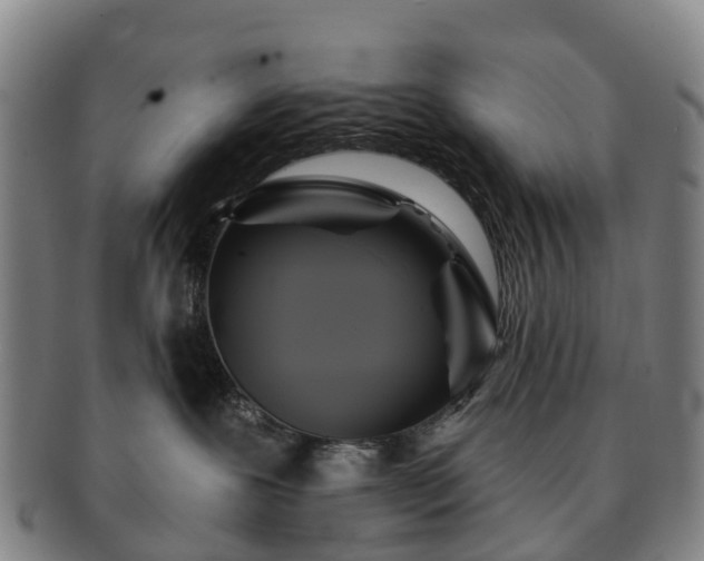 X0000091590239200708271250