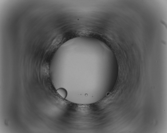 X0000091590240200708271250