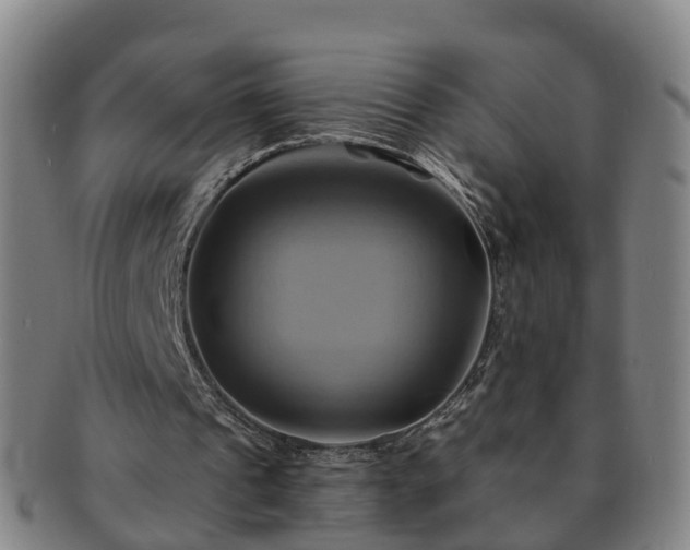 X0000091590241200708271250