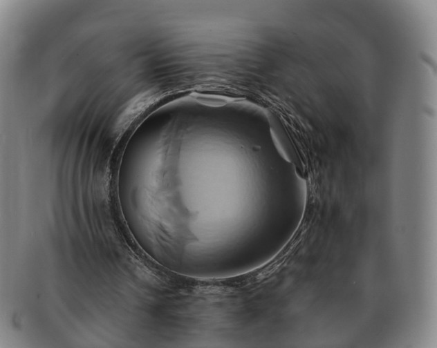 X0000091590242200708271250