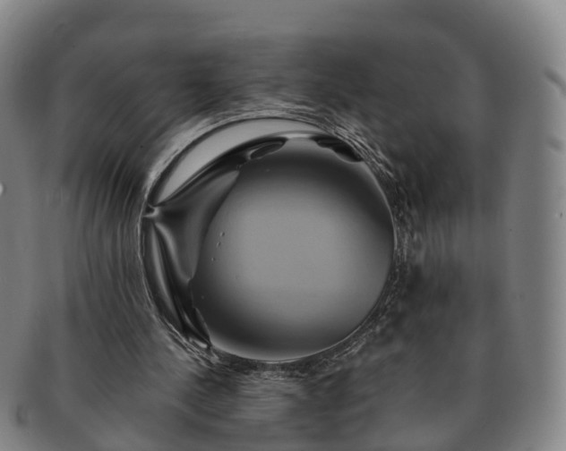 X0000091590244200708271250