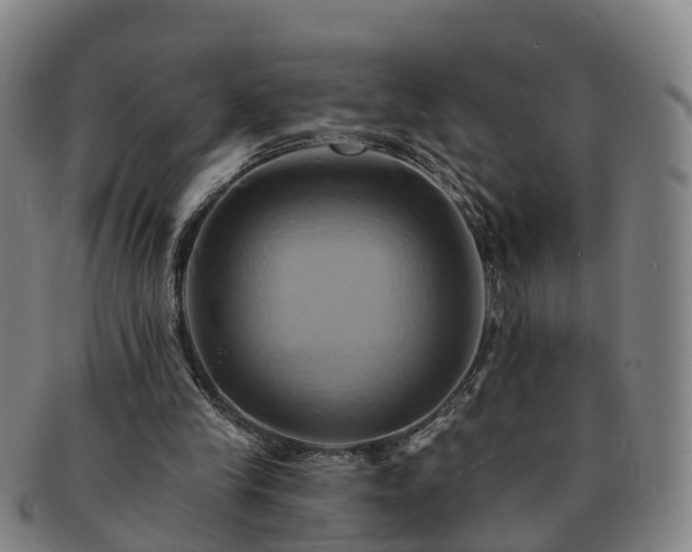 X0000091590245200708271250