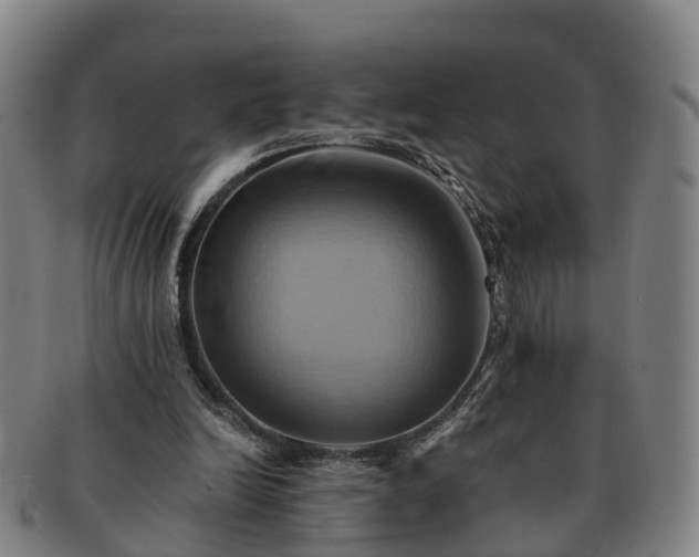 X0000091590246200708271250