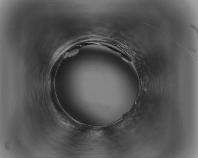 X0000091590247200708271250
