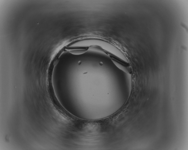 X0000091590248200708271250