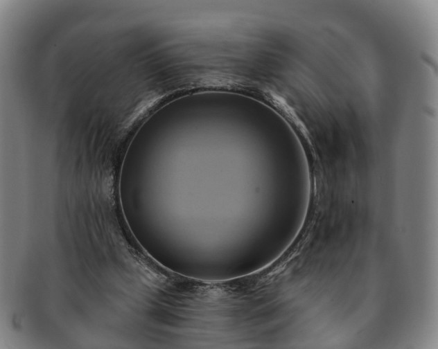 X0000091590249200708271250