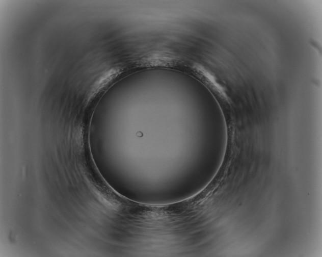 X0000091590250200708271250