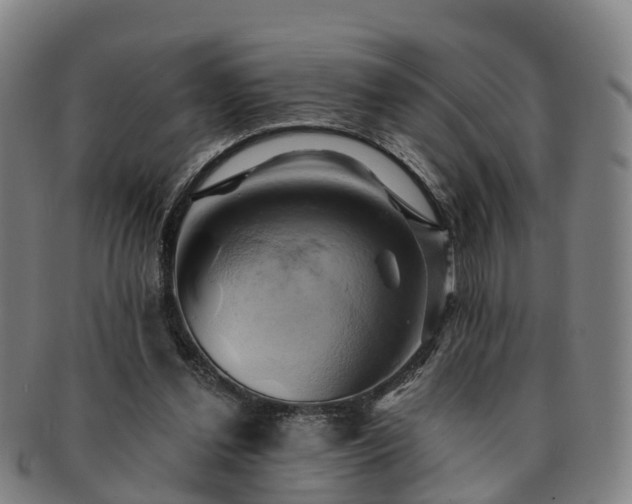 X0000091590252200708271250