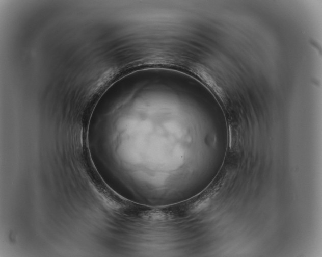 X0000091590253200708271250