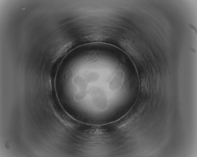 X0000091590254200708271250