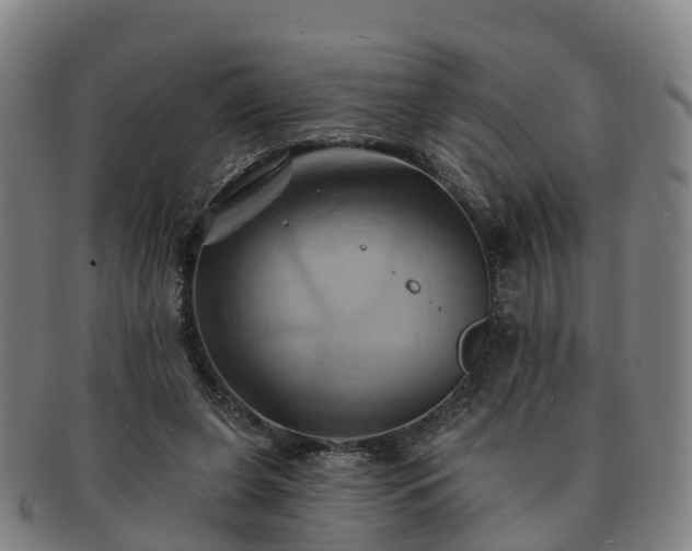 X0000091590255200708271250