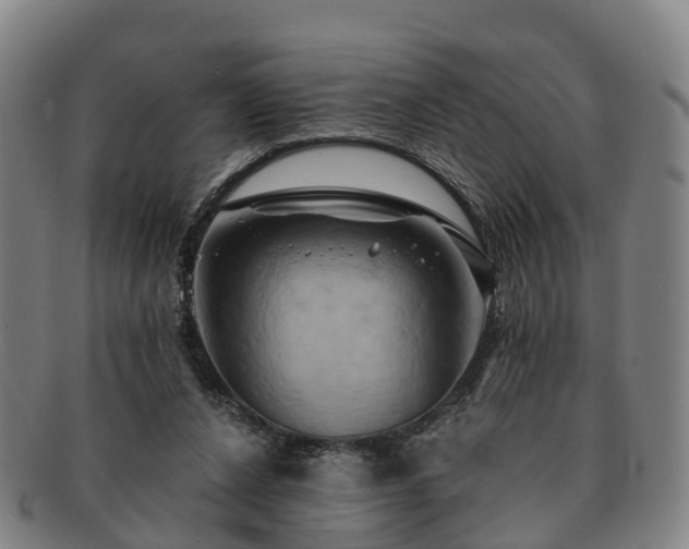 X0000091590256200708271250