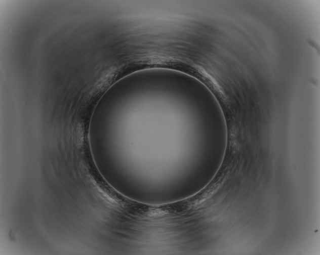 X0000091590257200708271250