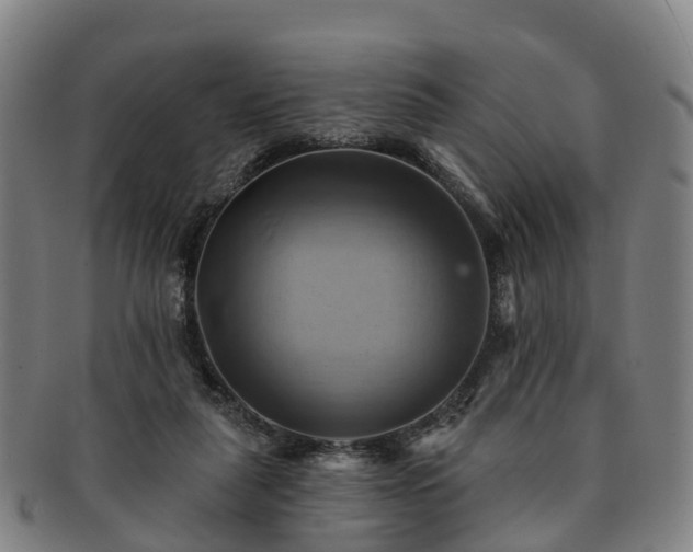 X0000091590259200708271250