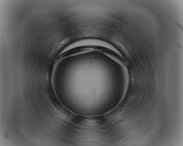 X0000091590260200708271250