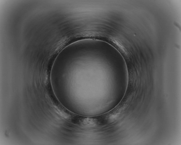 X0000091590261200708271250