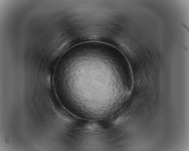 X0000091590262200708271250