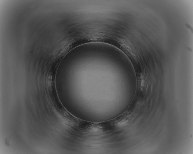 X0000091590263200708271250