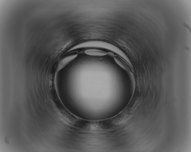 X0000091590264200708271250