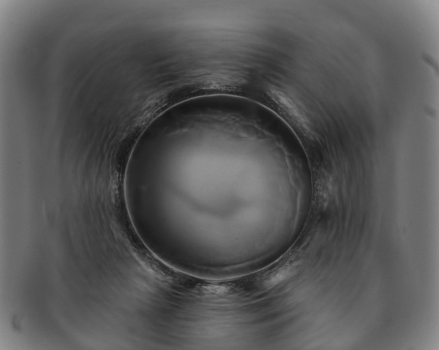 X0000091590265200708271250