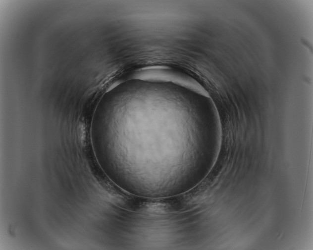 X0000091590268200708271250