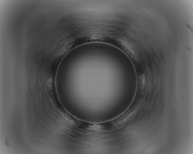 X0000091590269200708271250