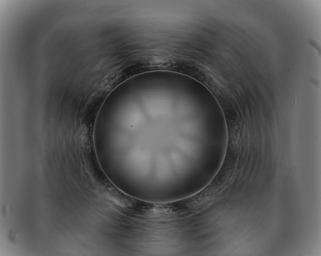 X0000091590270200708271250