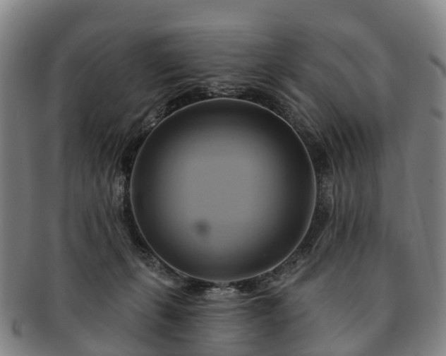 X0000091590271200708271250