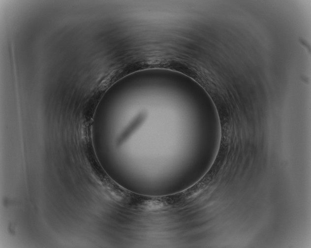 X0000091590272200708271250