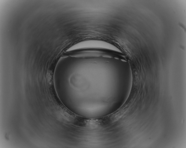 X0000091590273200708271250