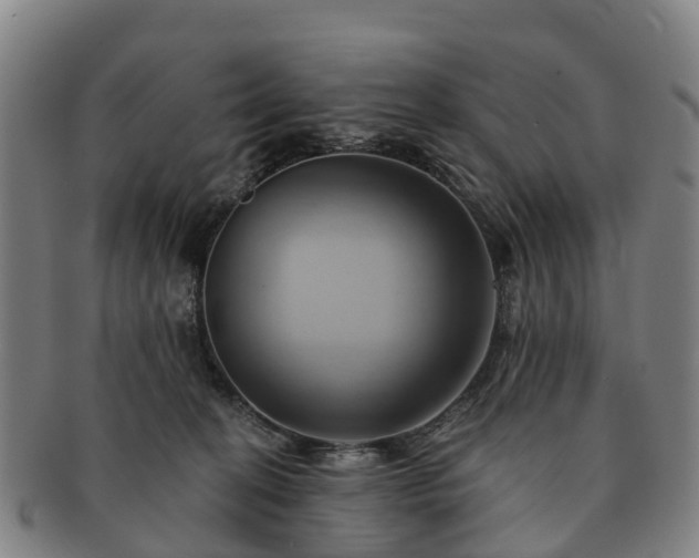 X0000091590274200708271250