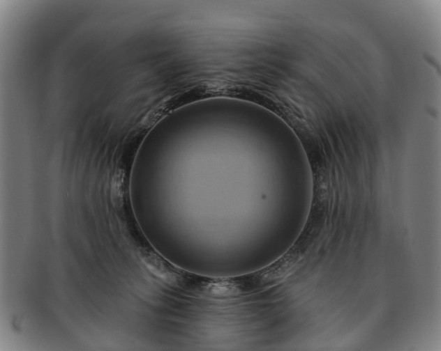 X0000091590275200708271250