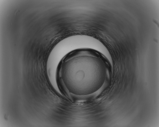 X0000091590276200708271250