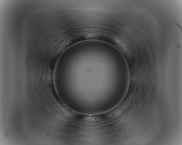 X0000091590277200708271250