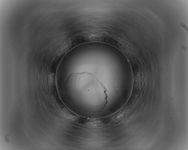X0000091590278200708271250