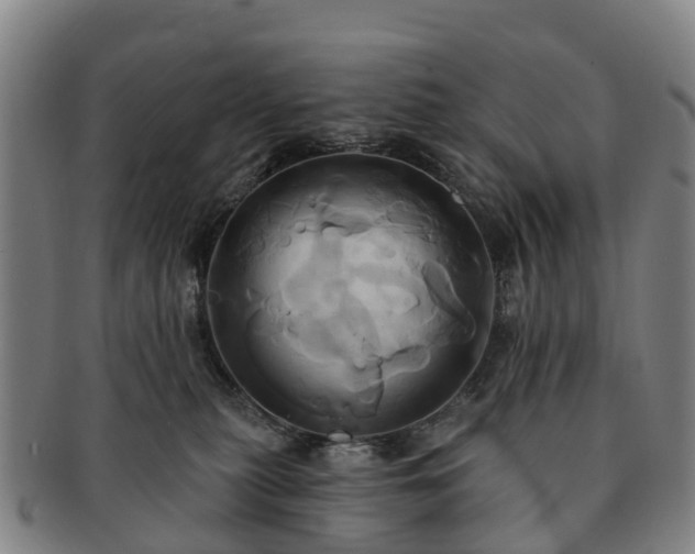 X0000091590279200708271250