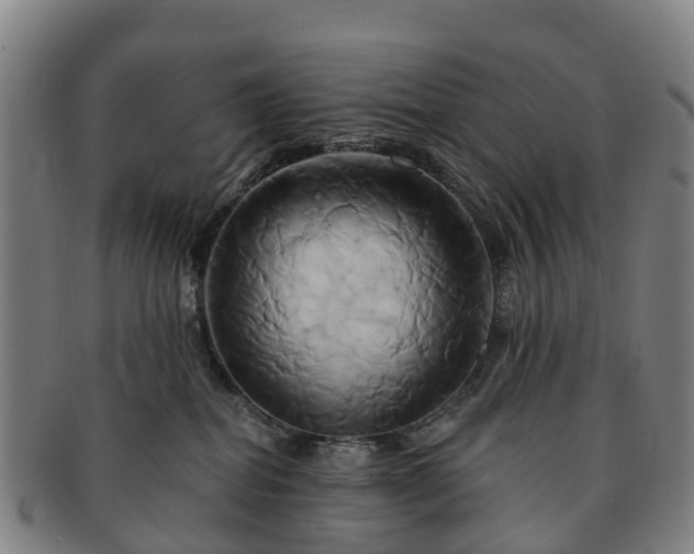 X0000091590282200708271250