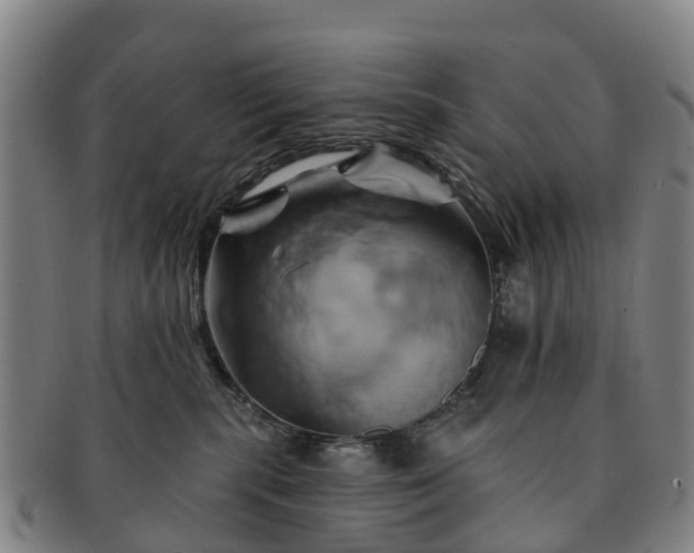 X0000091590283200708271250