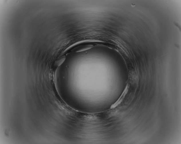 X0000091590284200708271250