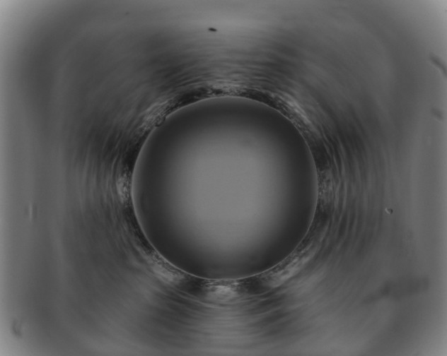X0000091590285200708271250