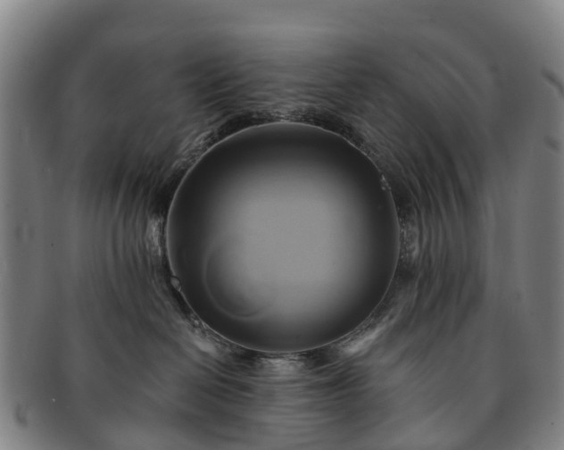 X0000091590286200708271250