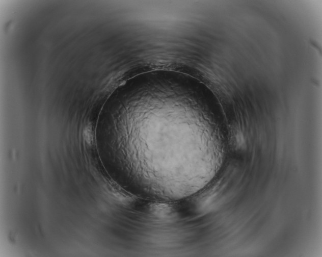 X0000091590287200708271250