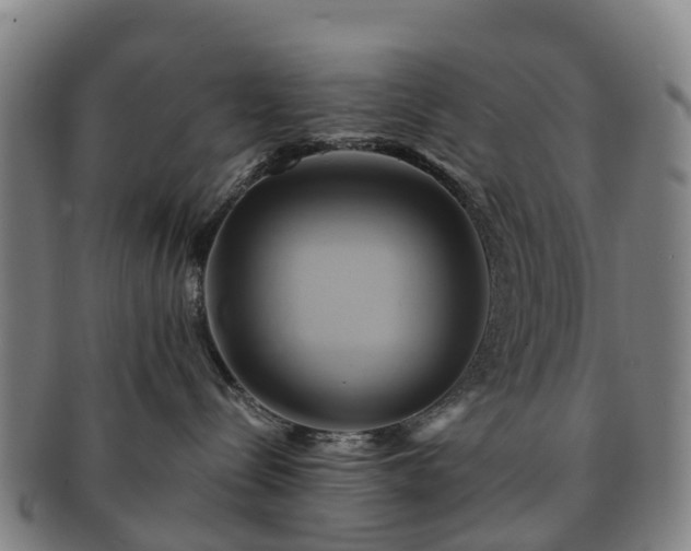 X0000091590288200708271250