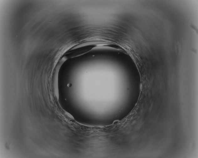 X0000091590289200708271250