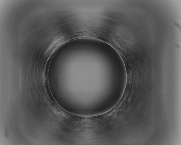 X0000091590290200708271250