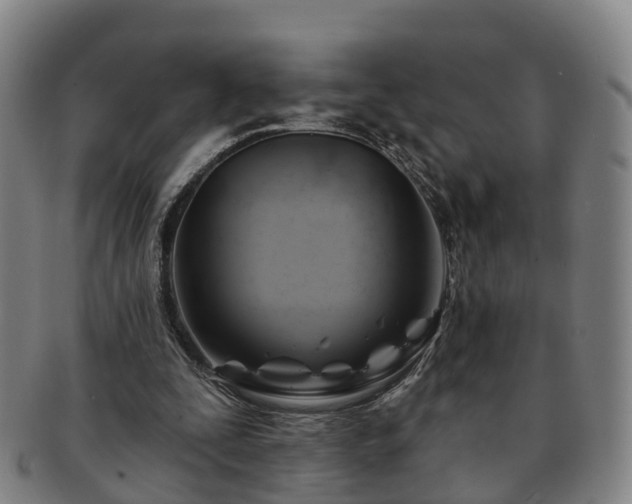 X0000091590295200708271250