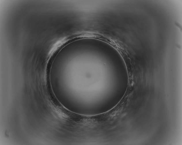 X0000091590296200708271250