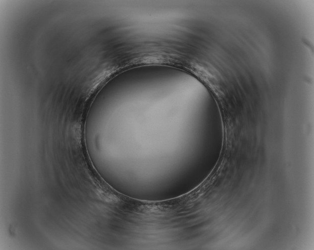 X0000091590297200708271250