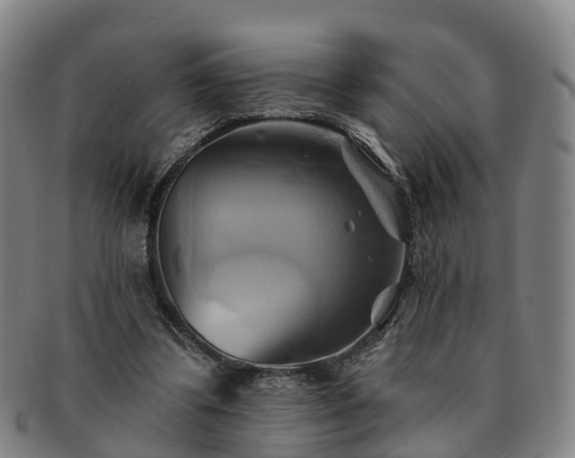 X0000091590299200708271250