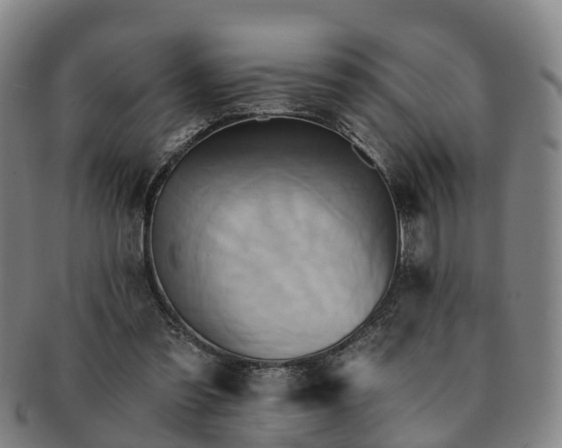 X0000091590301200708271250